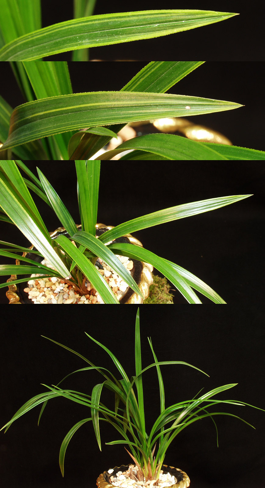 ������ ū������ �� �� �ֽ��ϴ�.