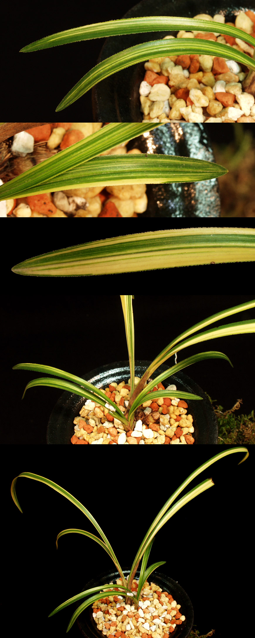 ������ ū������ �� �� �ֽ��ϴ�.