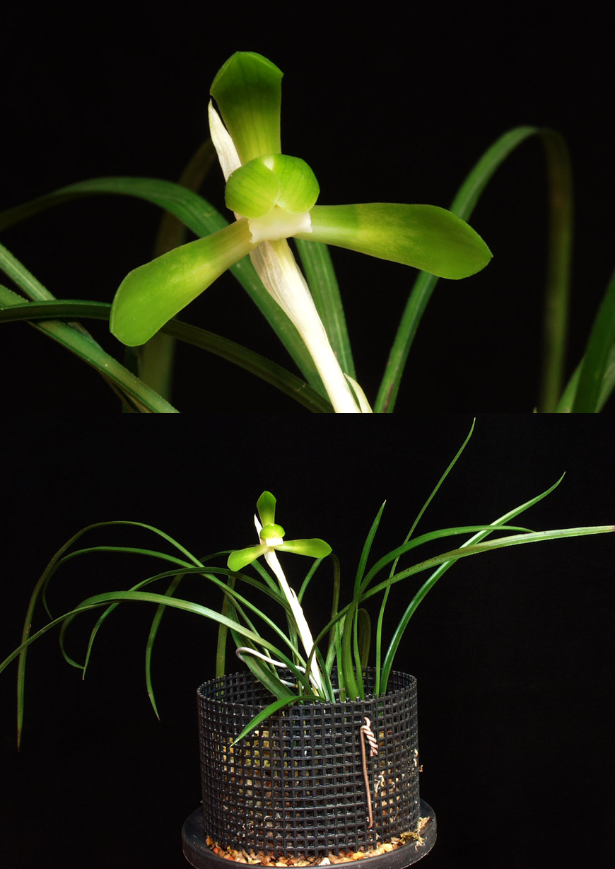 ������ ū������ �� �� �ֽ��ϴ�.