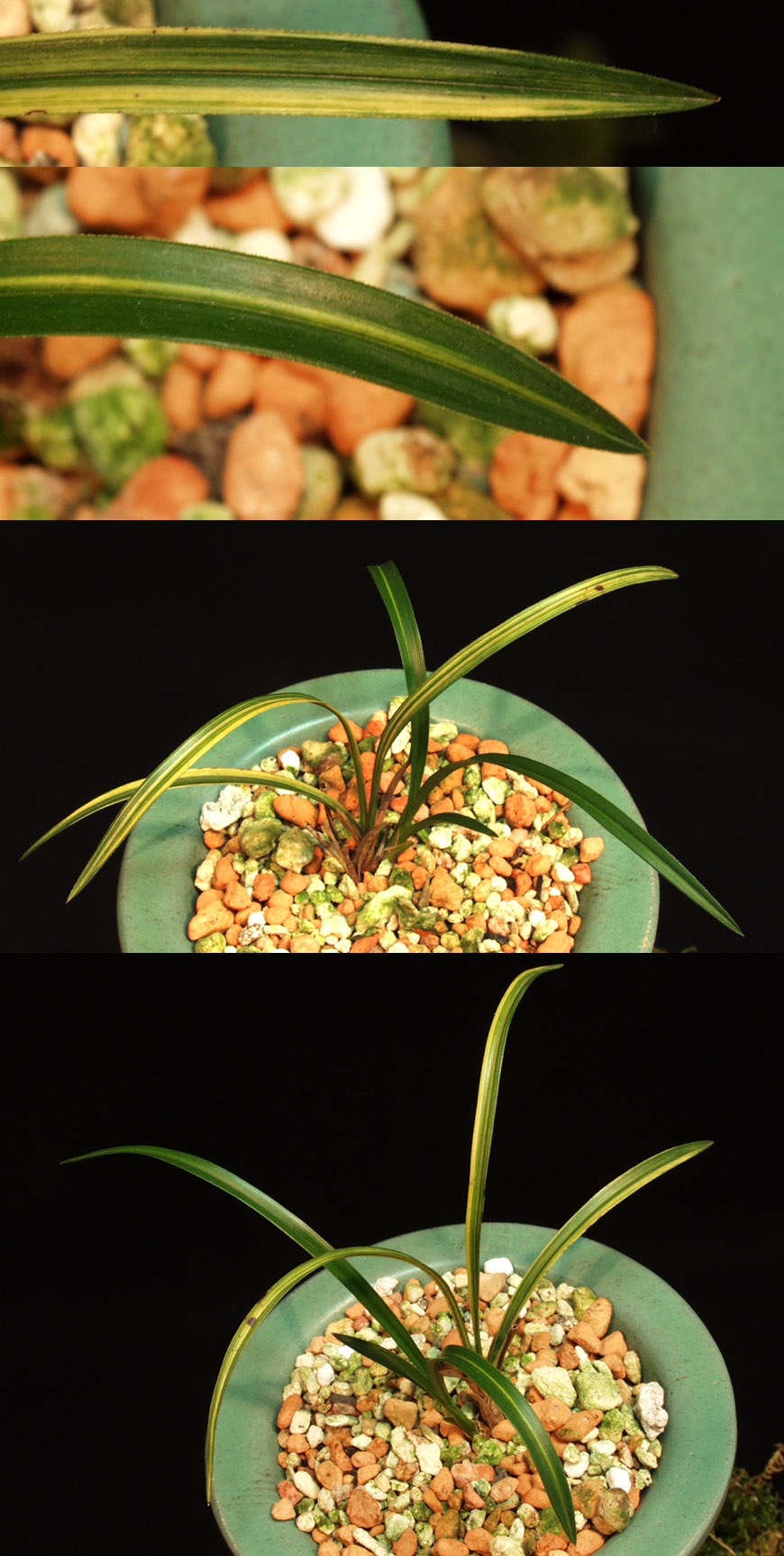 ������ ū������ �� �� �ֽ��ϴ�.