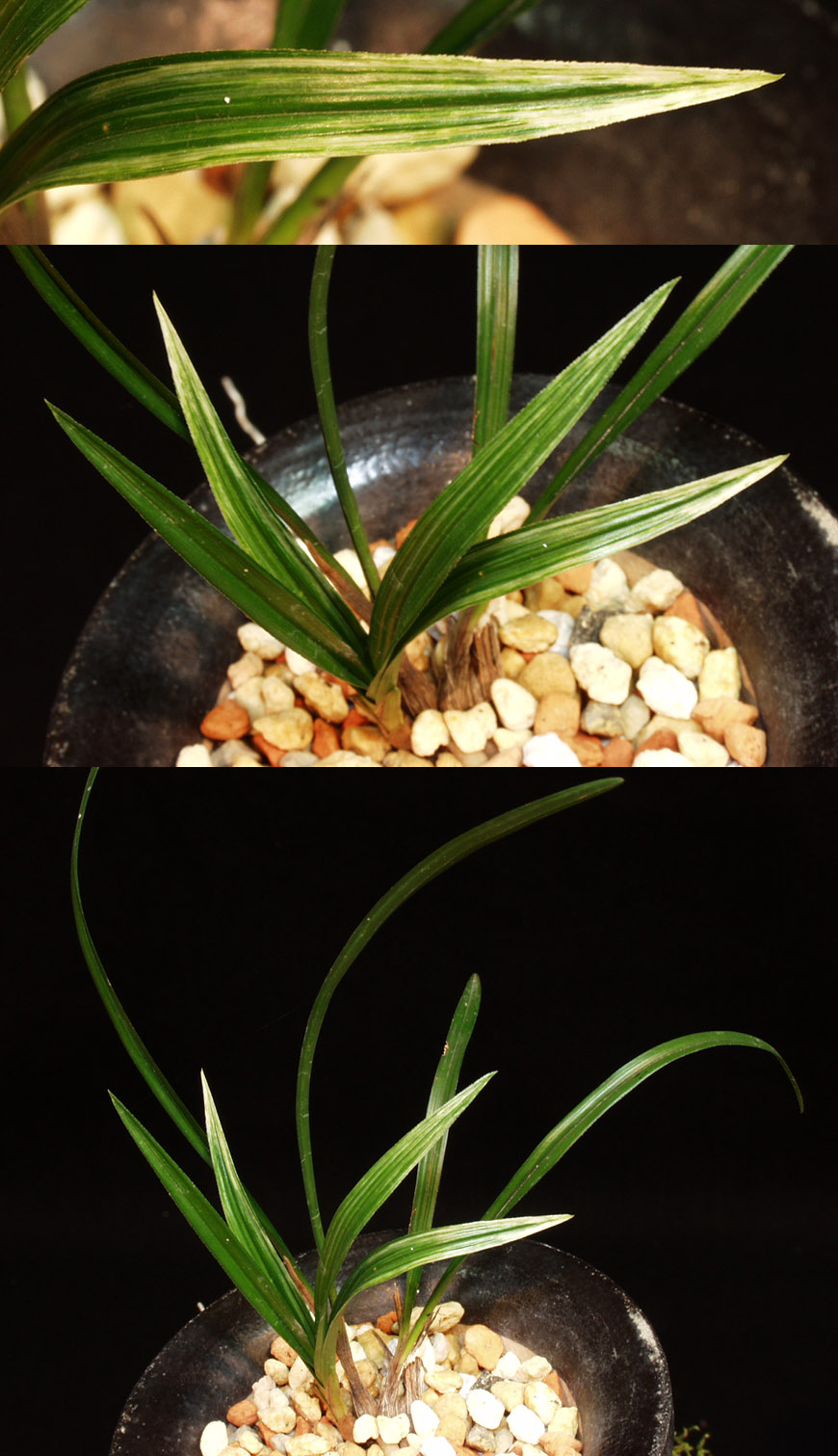 ������ ū������ �� �� �ֽ��ϴ�.