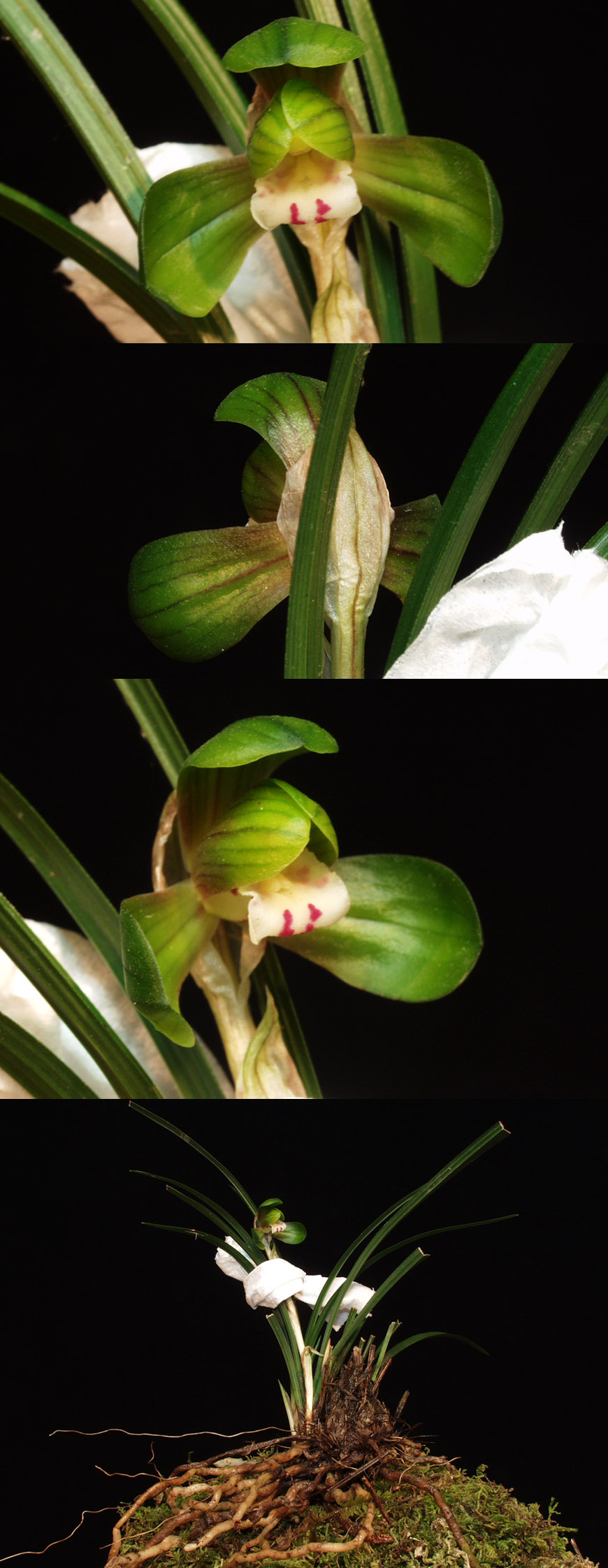 ������ ū������ �� �� �ֽ��ϴ�.