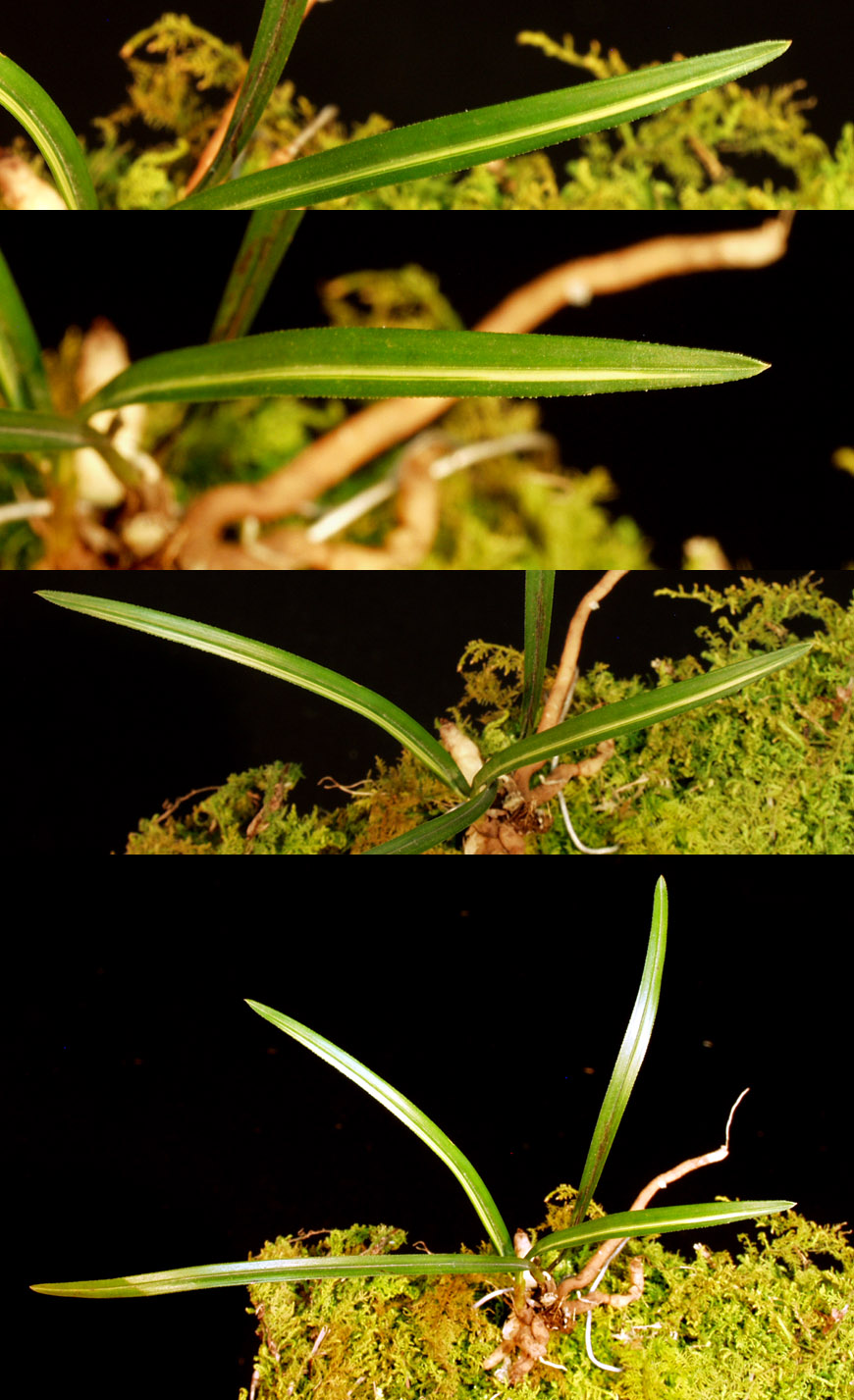 ������ ū������ �� �� �ֽ��ϴ�.