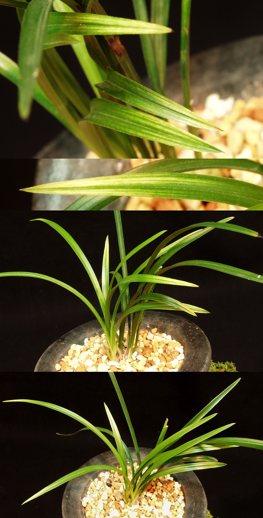 ������ ū������ �� �� �ֽ��ϴ�.