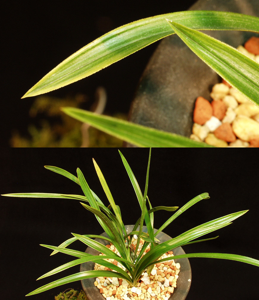 ������ ū������ �� �� �ֽ��ϴ�.