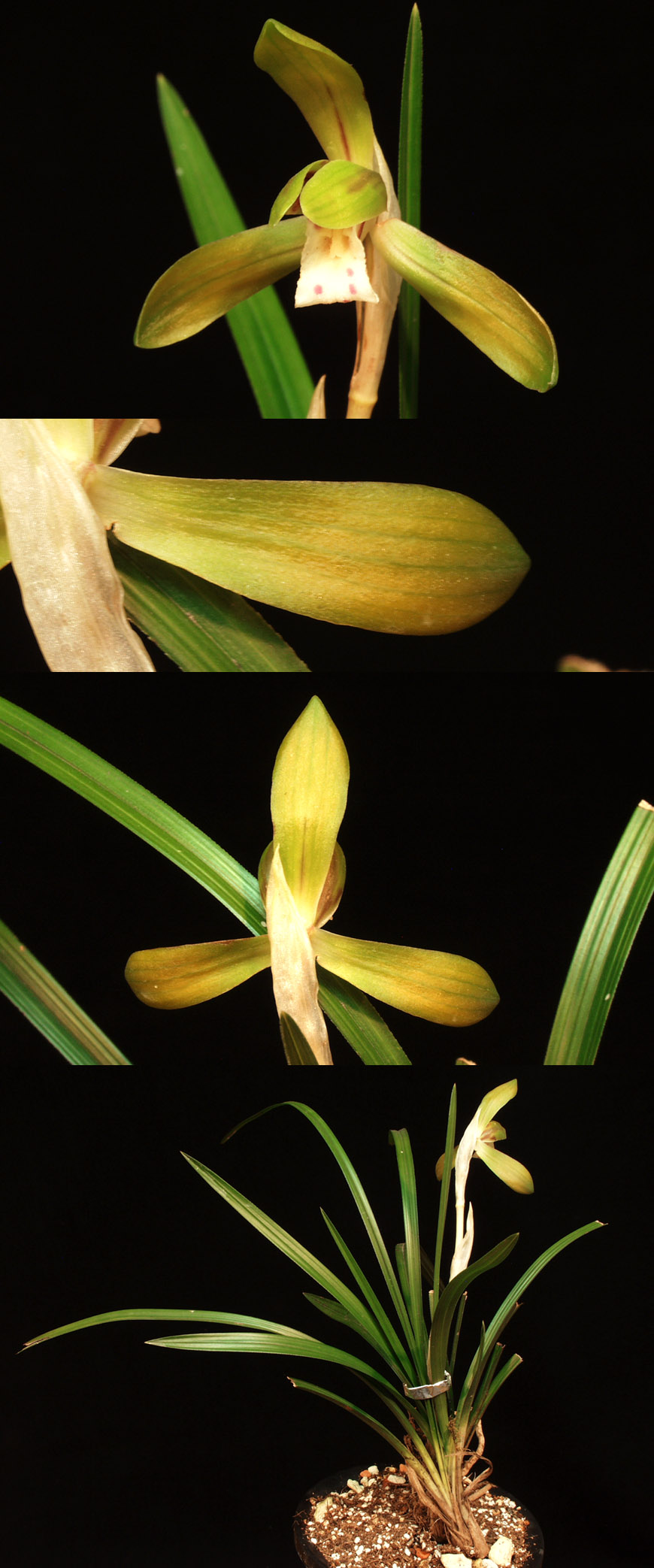 ������ ū������ �� �� �ֽ��ϴ�.