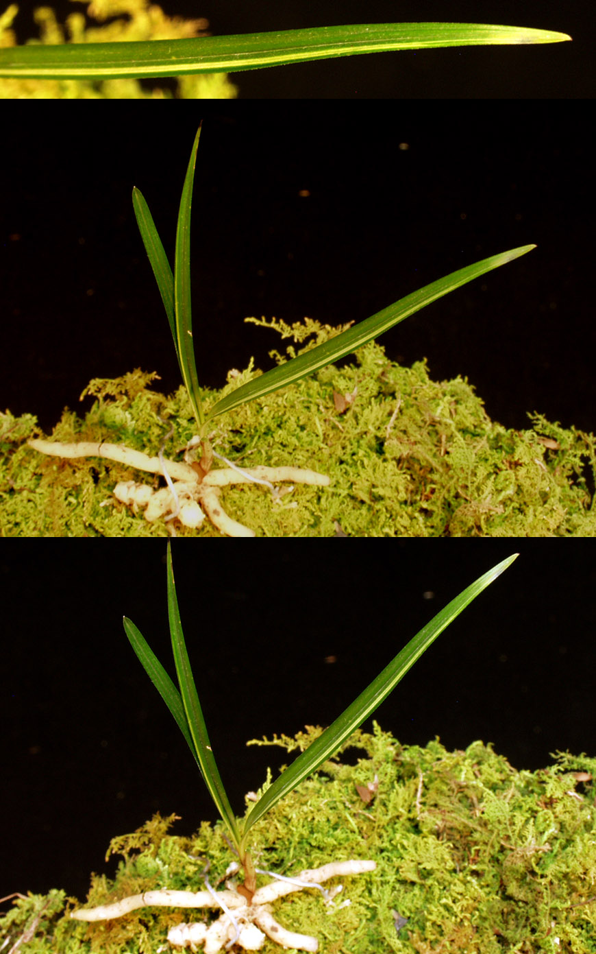 ������ ū������ �� �� �ֽ��ϴ�.