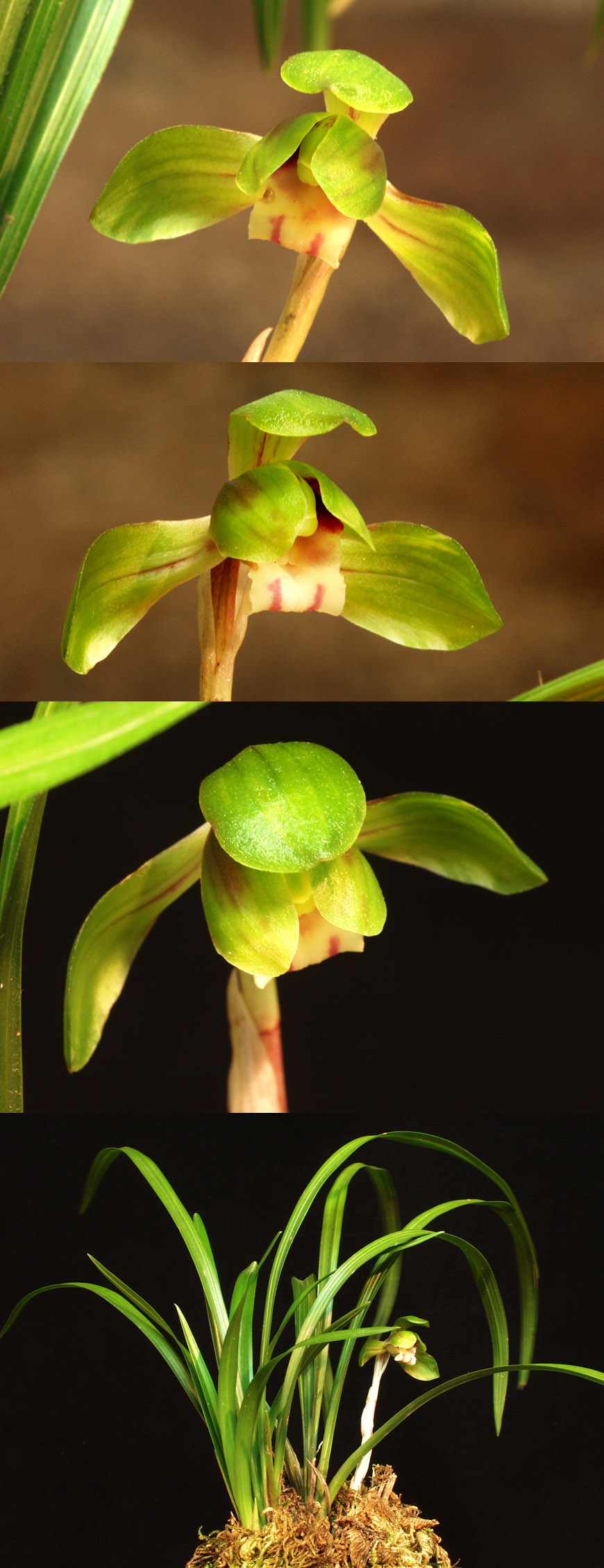 ������ ū������ �� �� �ֽ��ϴ�.