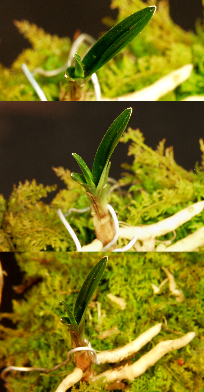 ������ ū������ �� �� �ֽ��ϴ�.