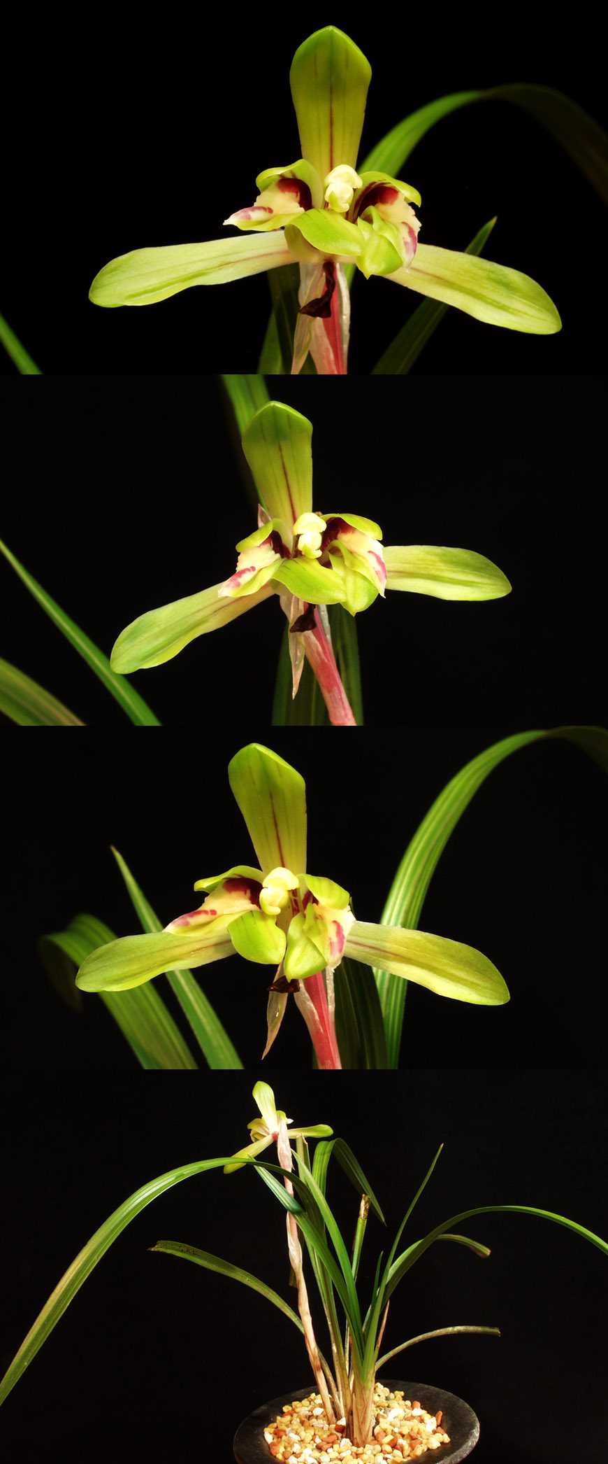 ������ ū������ �� �� �ֽ��ϴ�.