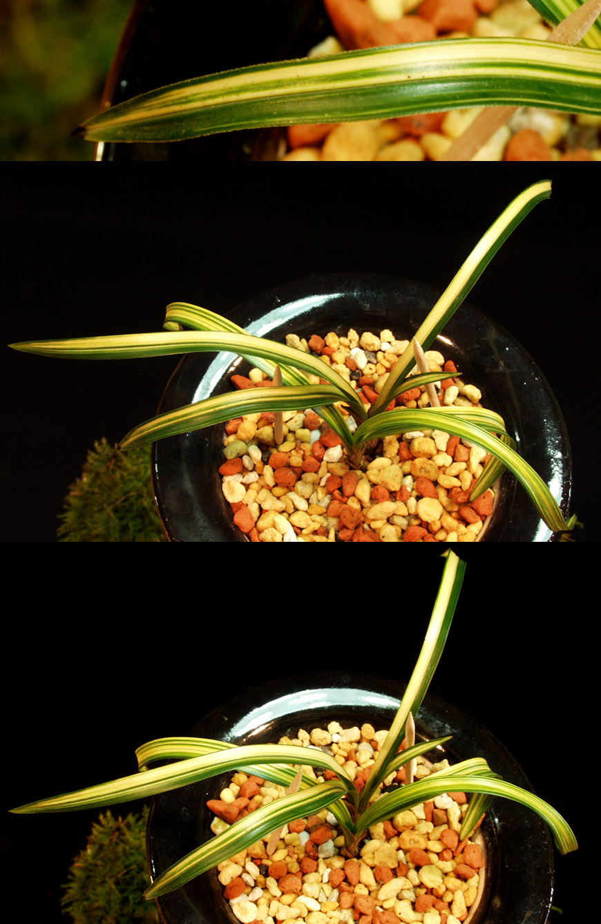 ������ ū������ �� �� �ֽ��ϴ�.