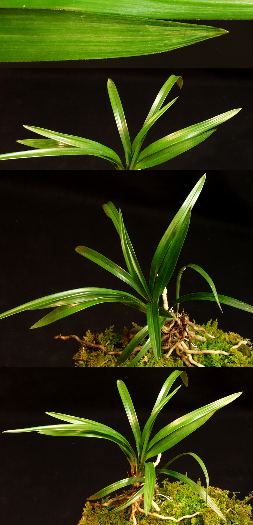 ������ ū������ �� �� �ֽ��ϴ�.