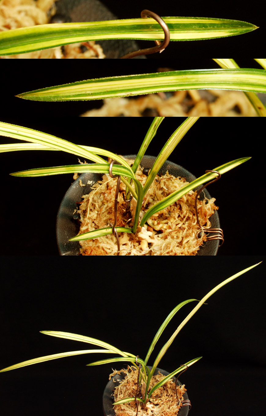 ������ ū������ �� �� �ֽ��ϴ�.