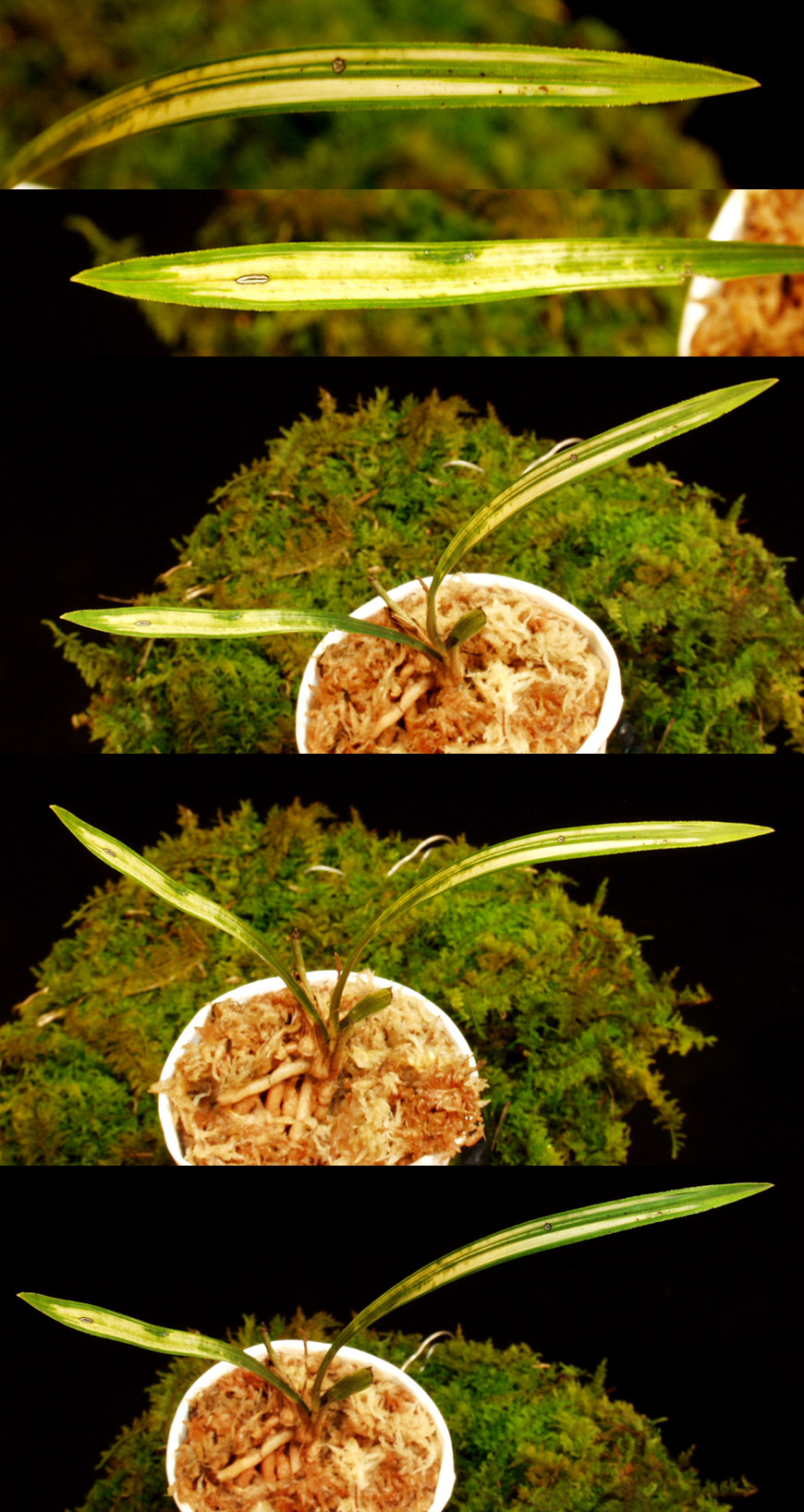 ������ ū������ �� �� �ֽ��ϴ�.