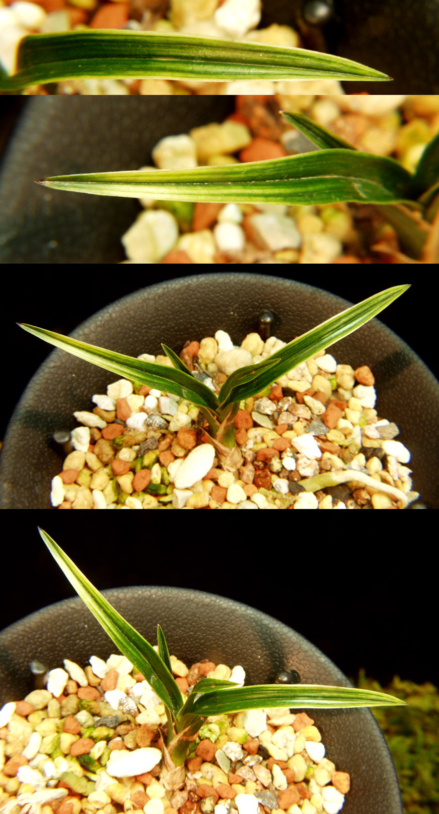 ������ ū������ �� �� �ֽ��ϴ�.