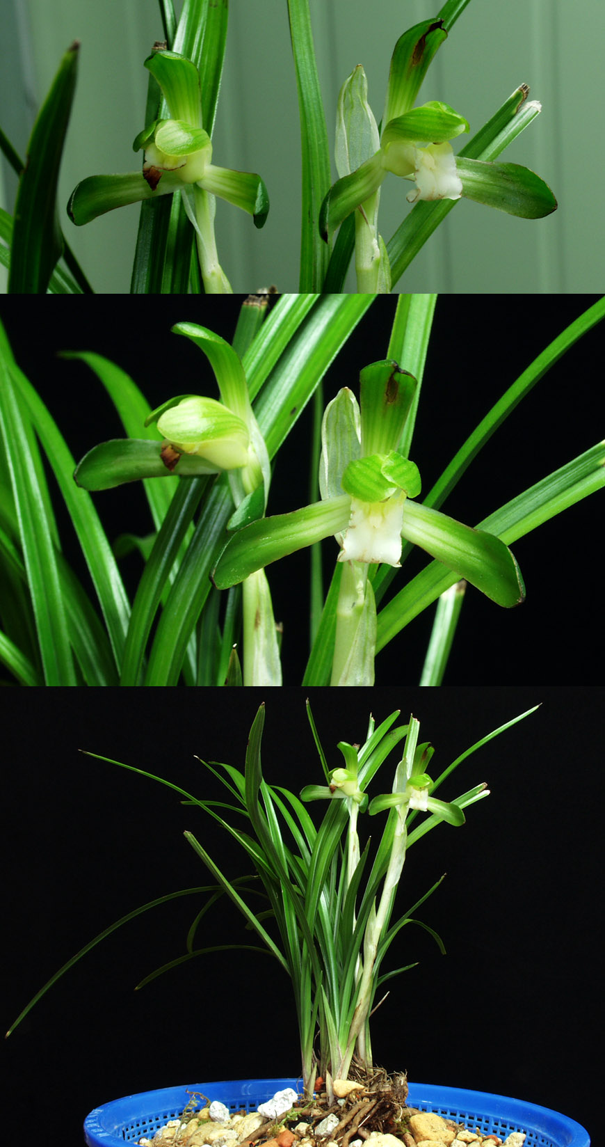 ������ ū������ �� �� �ֽ��ϴ�.