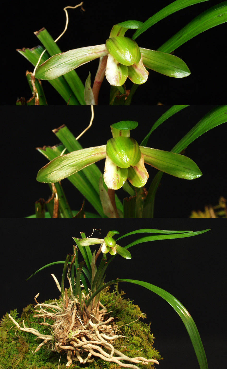 ������ ū������ �� �� �ֽ��ϴ�.