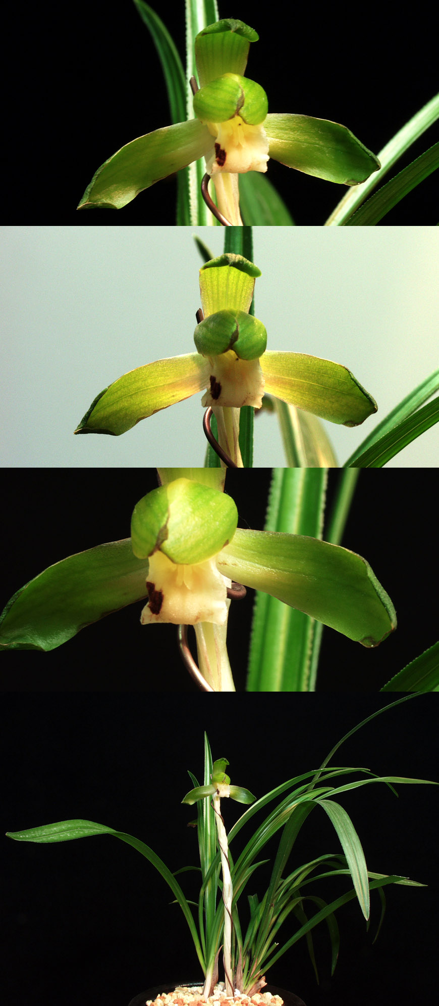 ������ ū������ �� �� �ֽ��ϴ�.