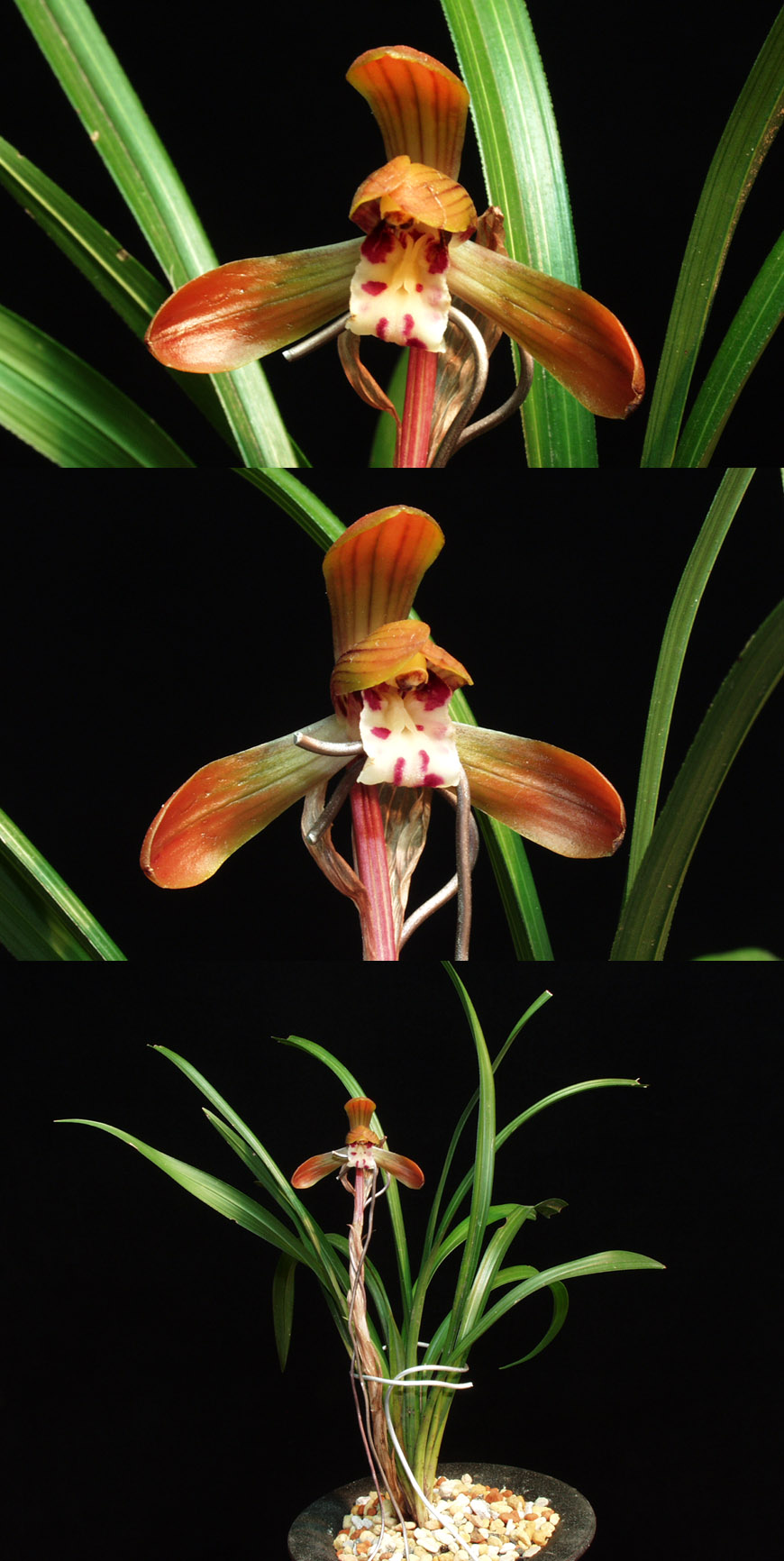 ������ ū������ �� �� �ֽ��ϴ�.