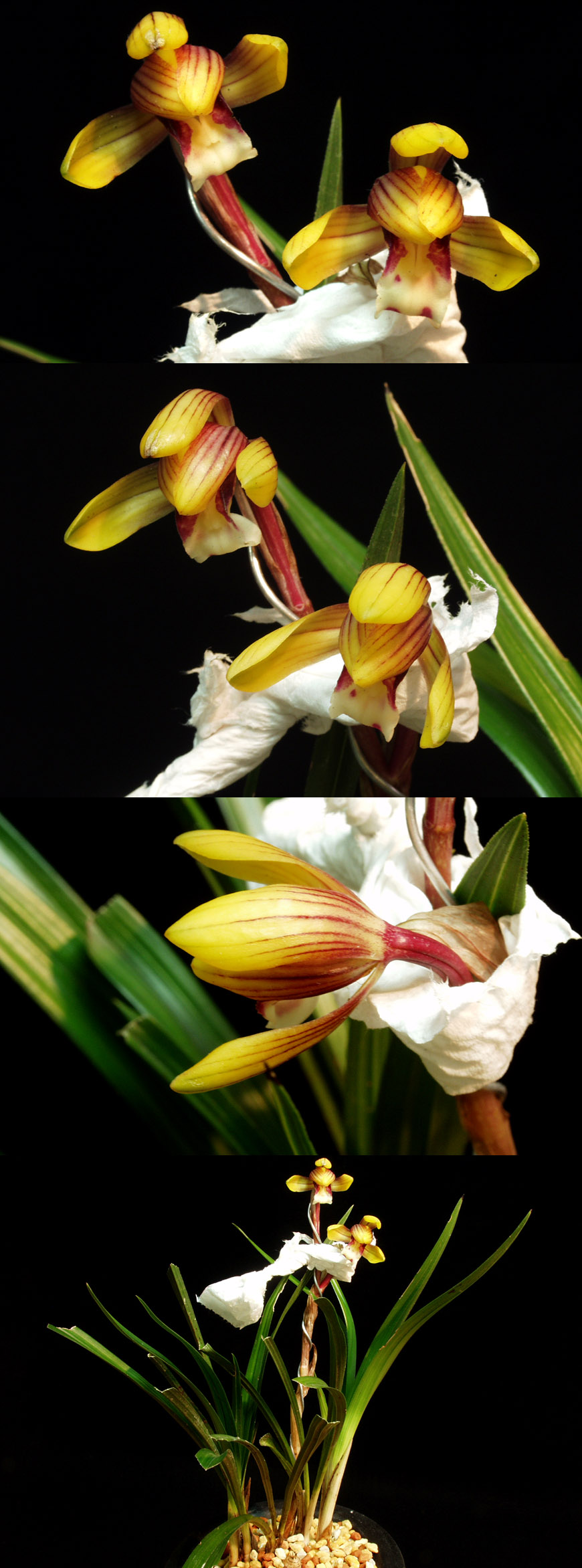 ������ ū������ �� �� �ֽ��ϴ�.