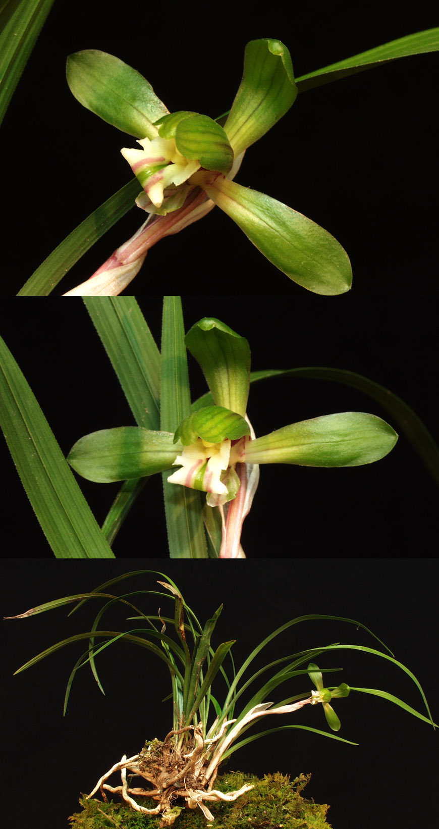 ������ ū������ �� �� �ֽ��ϴ�.