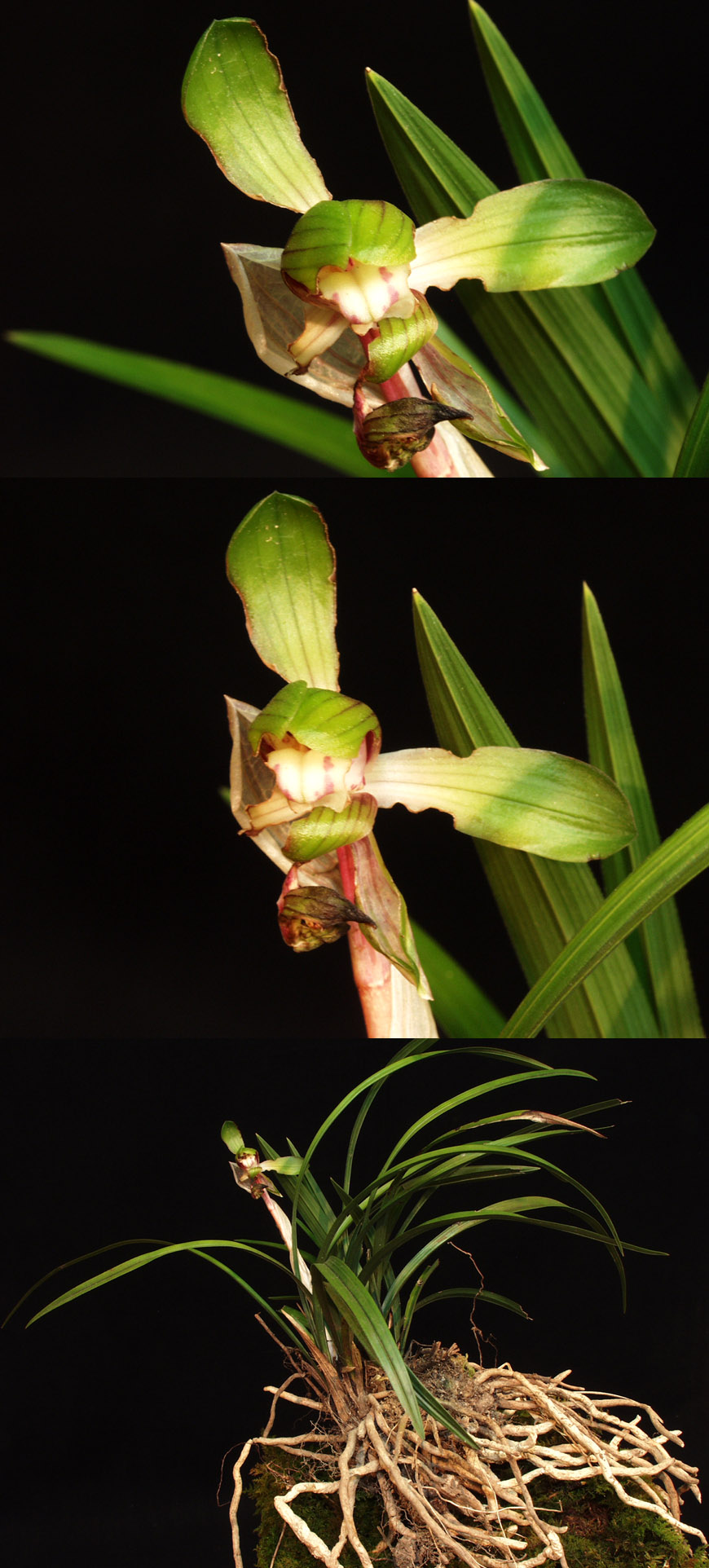 ������ ū������ �� �� �ֽ��ϴ�.