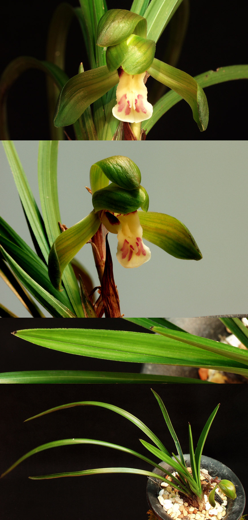 ������ ū������ �� �� �ֽ��ϴ�.