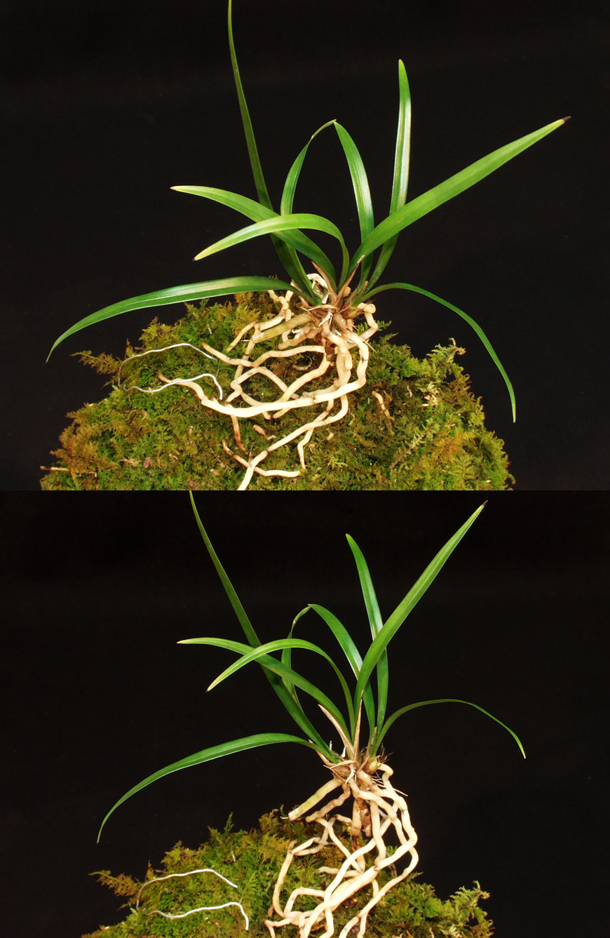 ������ ū������ �� �� �ֽ��ϴ�.