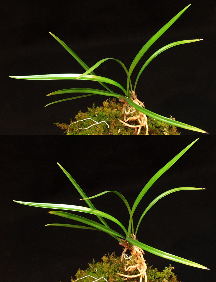 ������ ū������ �� �� �ֽ��ϴ�.