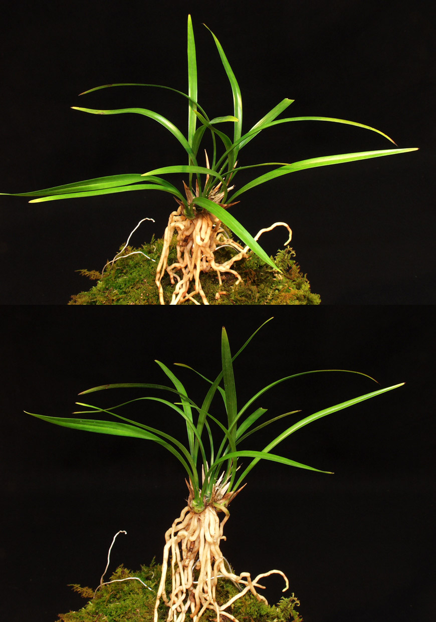 ������ ū������ �� �� �ֽ��ϴ�.