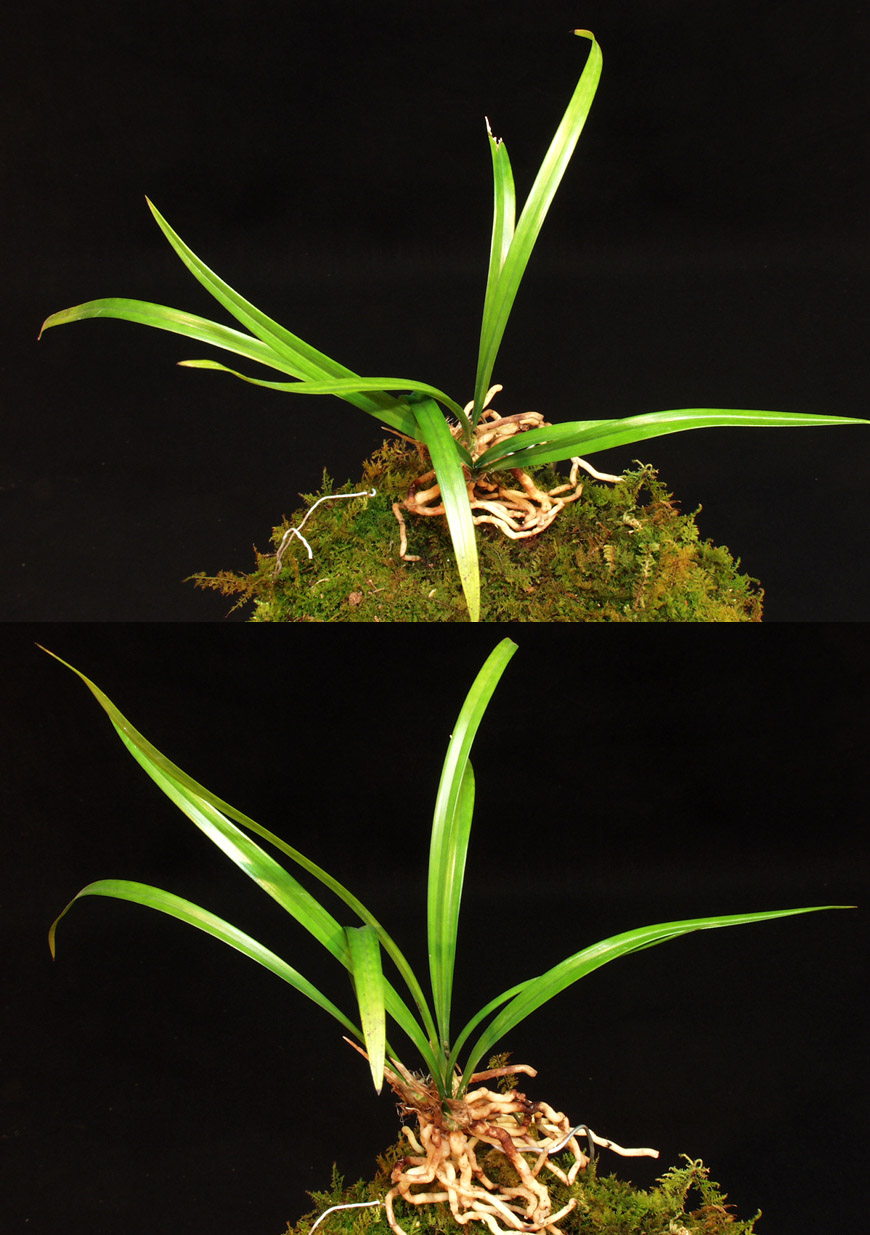 ������ ū������ �� �� �ֽ��ϴ�.