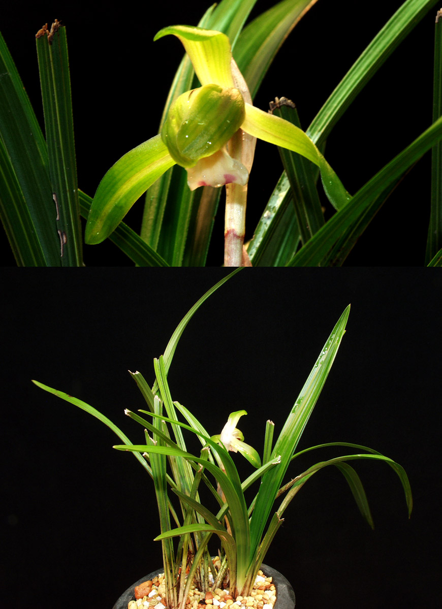 ������ ū������ �� �� �ֽ��ϴ�.