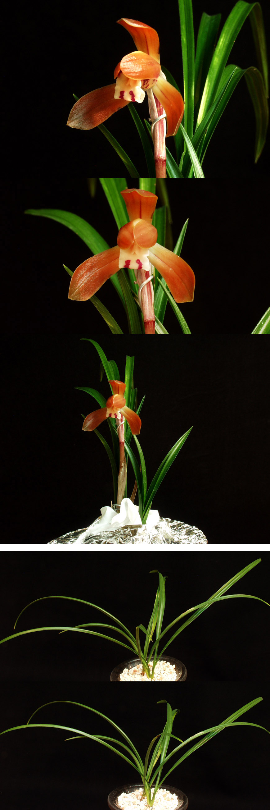 ������ ū������ �� �� �ֽ��ϴ�.