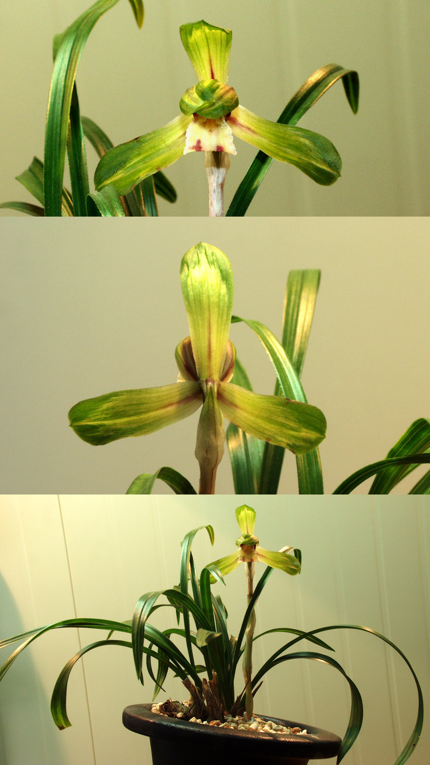 ������ ū������ �� �� �ֽ��ϴ�.