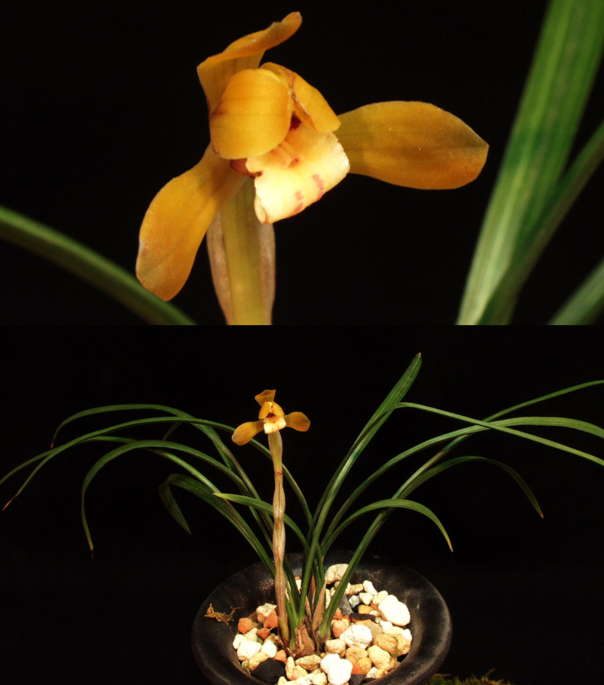 ������ ū������ �� �� �ֽ��ϴ�.