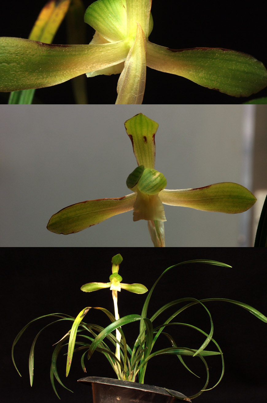 ������ ū������ �� �� �ֽ��ϴ�.