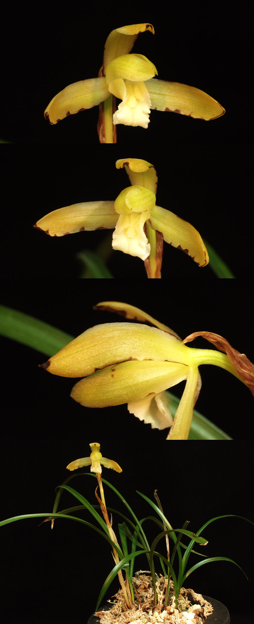 ������ ū������ �� �� �ֽ��ϴ�.