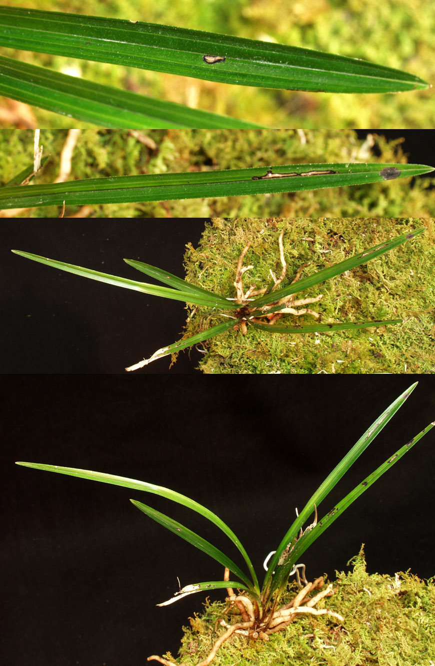 ������ ū������ �� �� �ֽ��ϴ�.