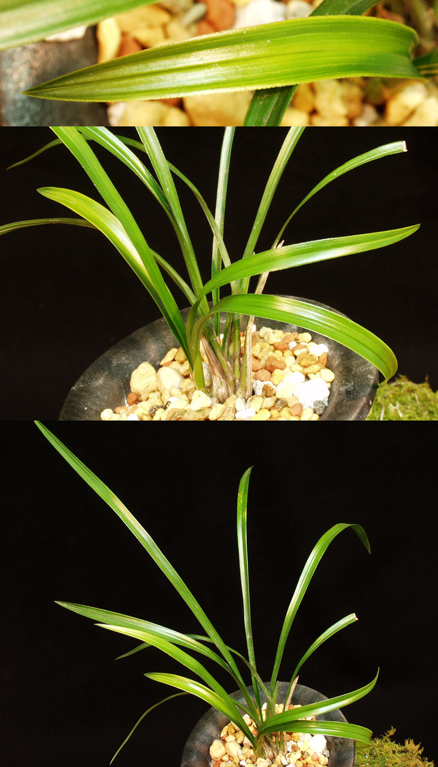 ������ ū������ �� �� �ֽ��ϴ�.