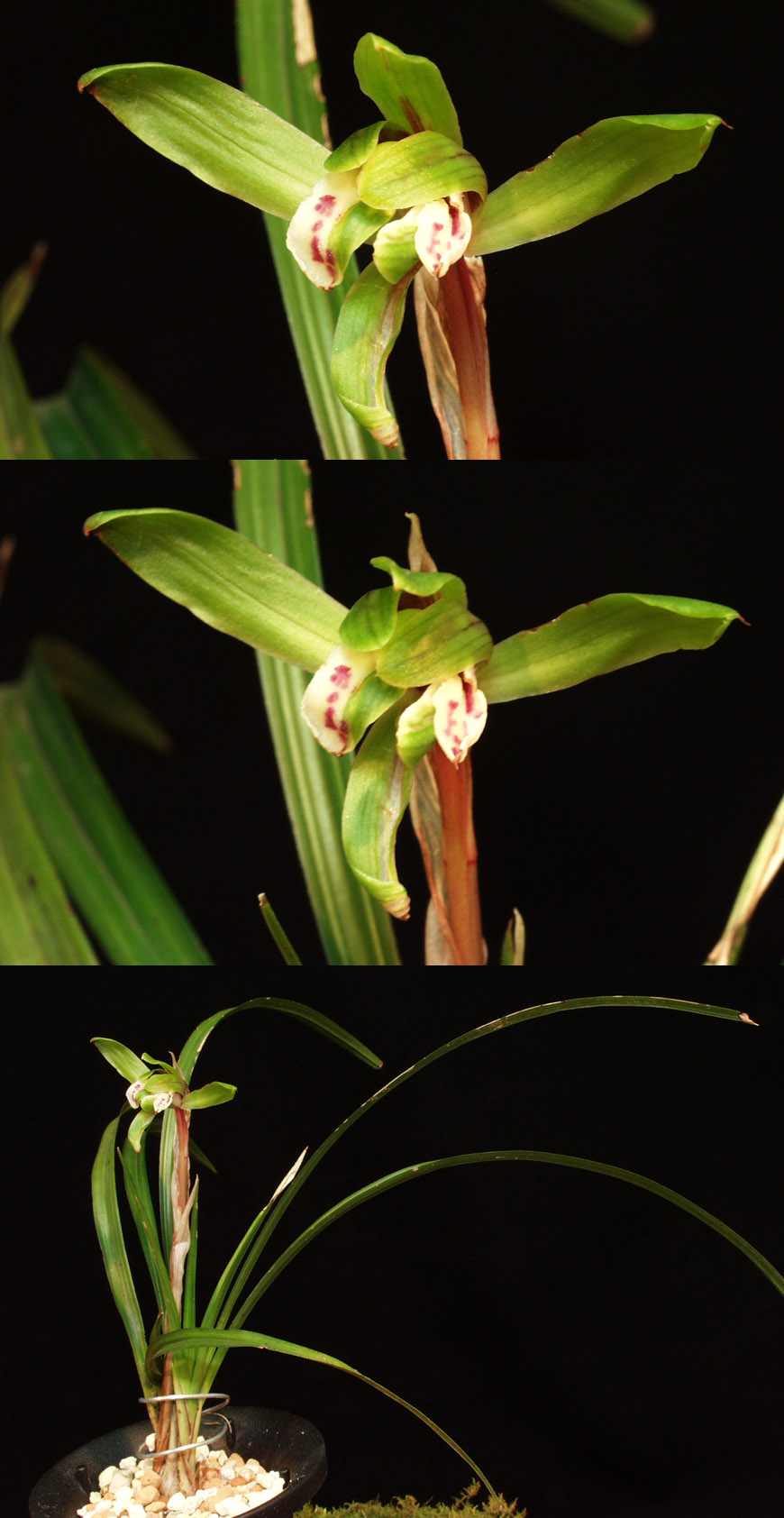 ������ ū������ �� �� �ֽ��ϴ�.