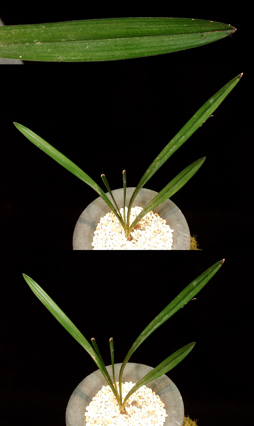 ������ ū������ �� �� �ֽ��ϴ�.