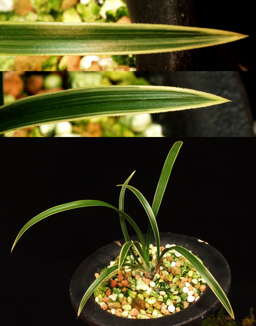 ������ ū������ �� �� �ֽ��ϴ�.