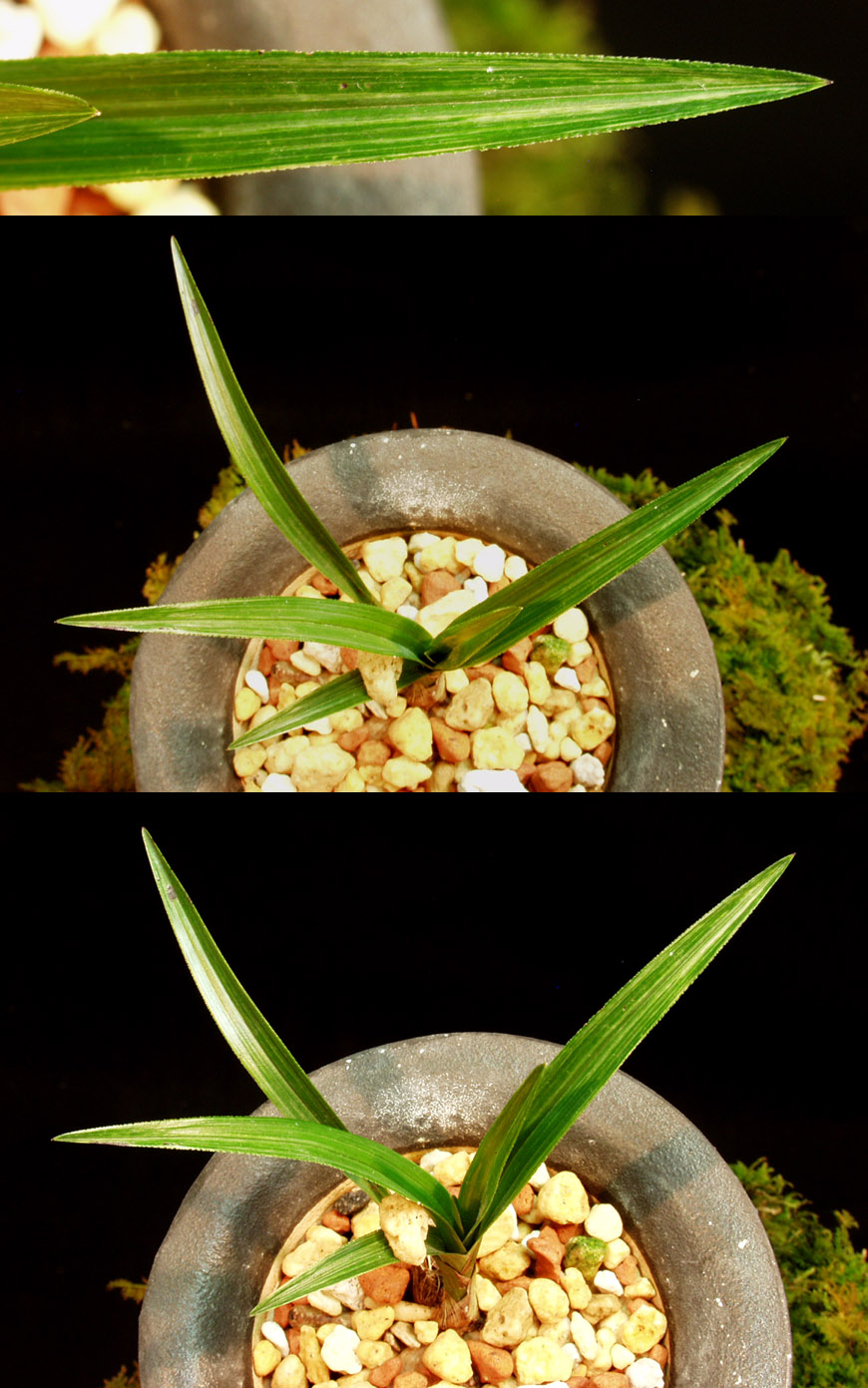 ������ ū������ �� �� �ֽ��ϴ�.