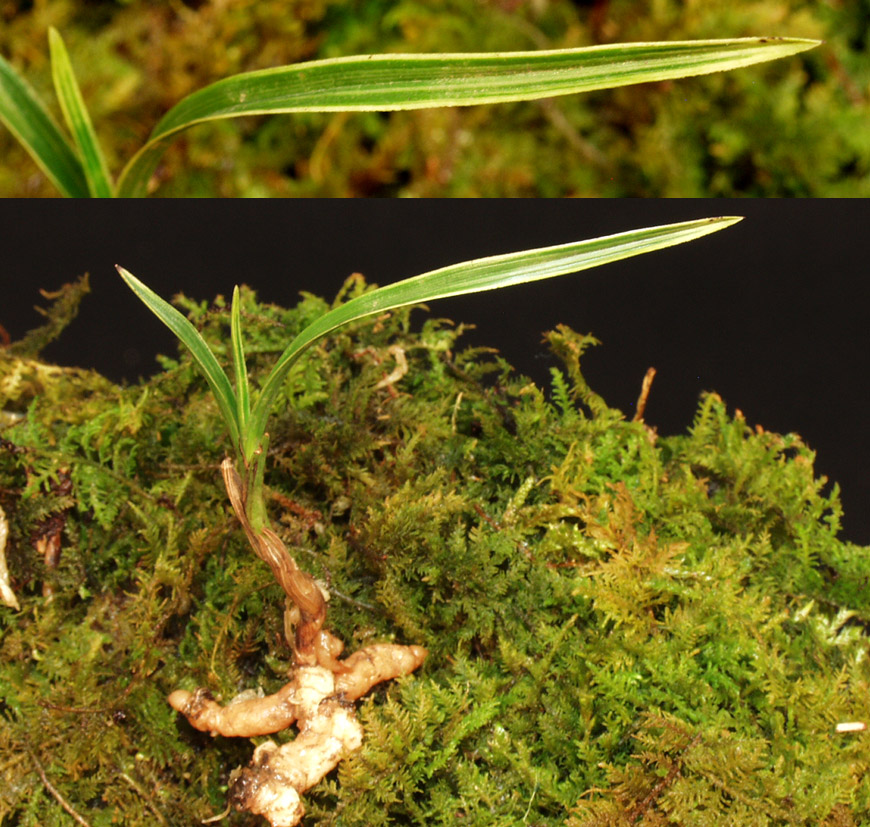 ������ ū������ �� �� �ֽ��ϴ�.