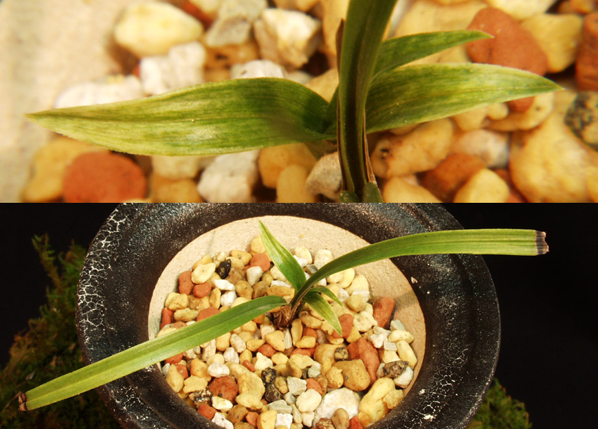 ������ ū������ �� �� �ֽ��ϴ�.