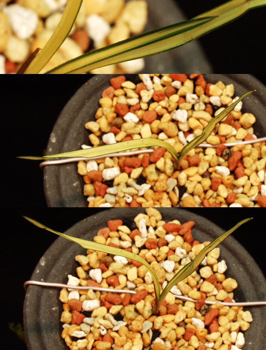 ������ ū������ �� �� �ֽ��ϴ�.