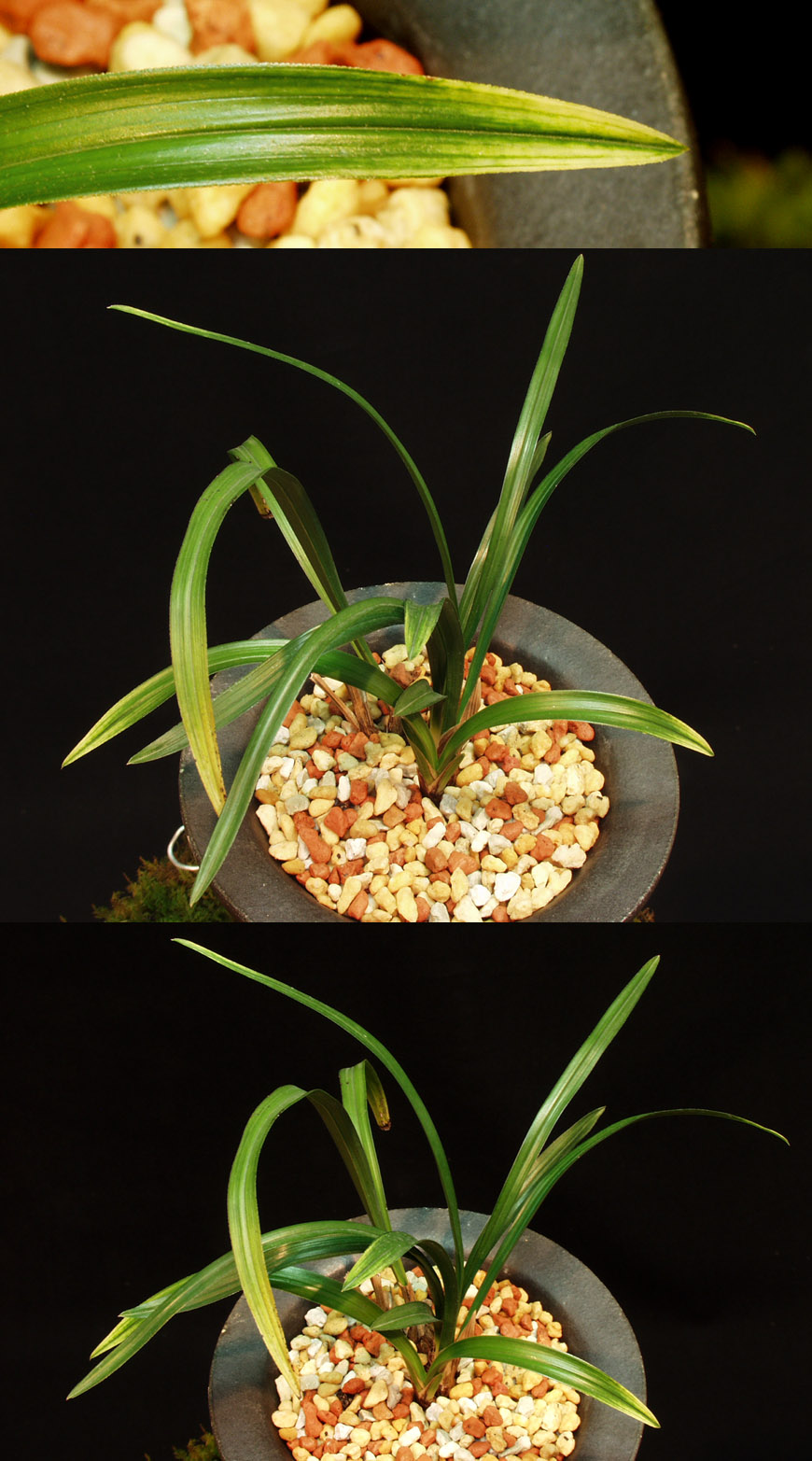 ������ ū������ �� �� �ֽ��ϴ�.