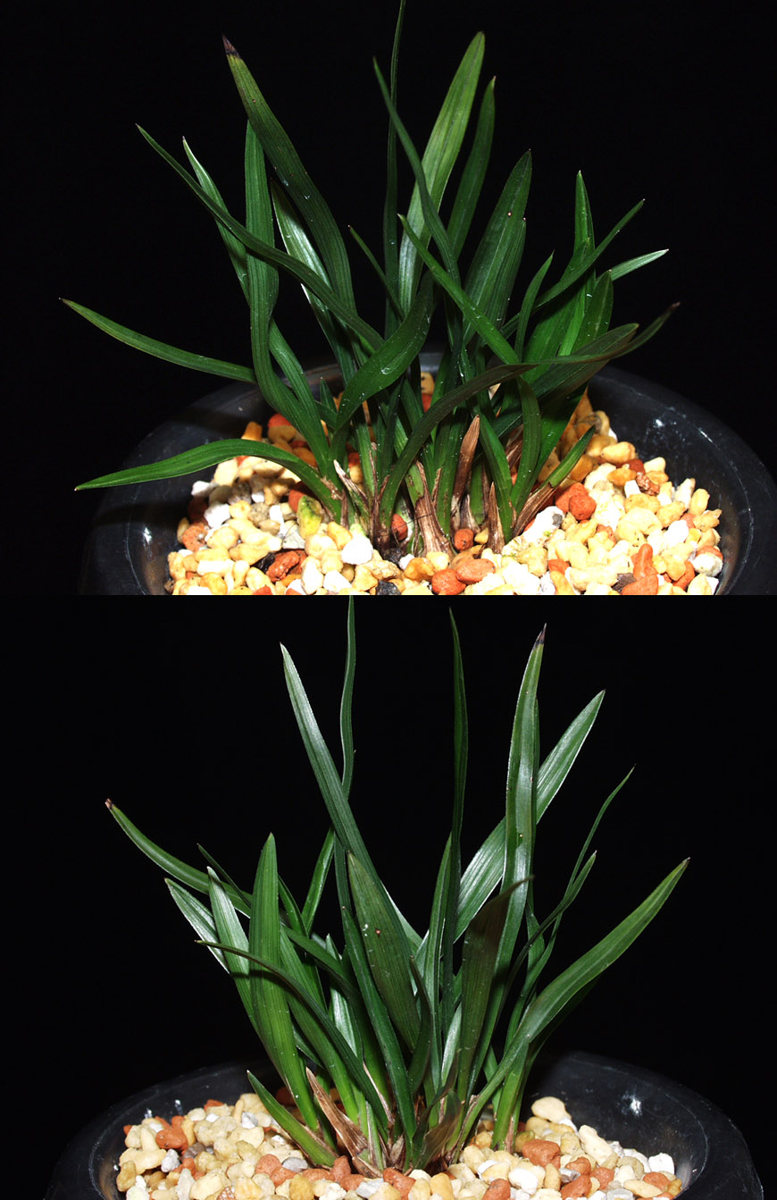 ������ ū������ �� �� �ֽ��ϴ�.