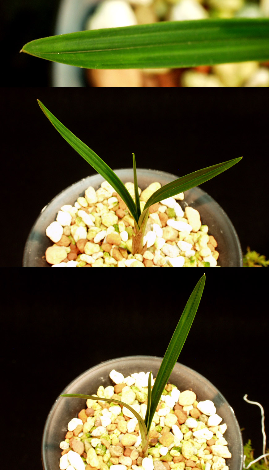 ������ ū������ �� �� �ֽ��ϴ�.