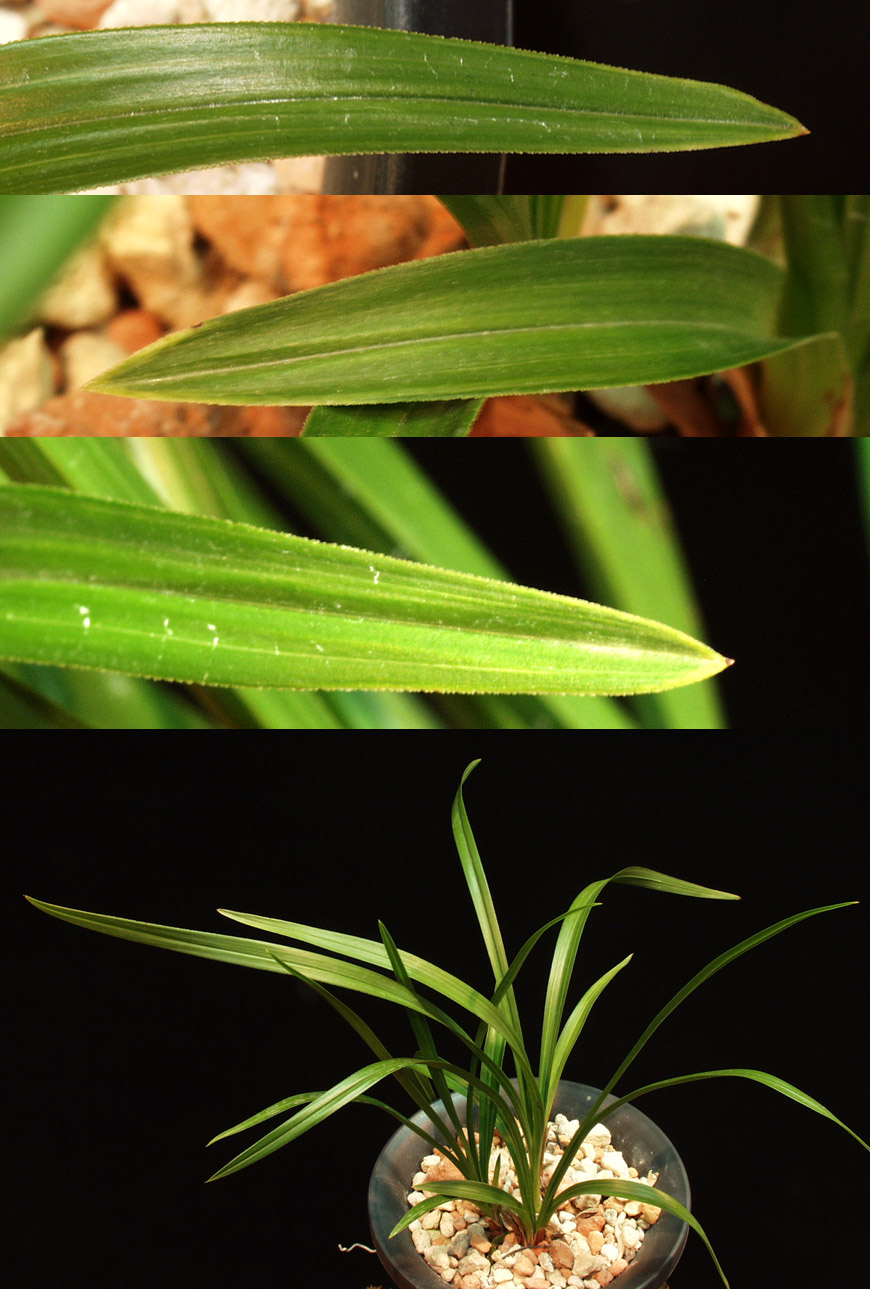 ������ ū������ �� �� �ֽ��ϴ�.